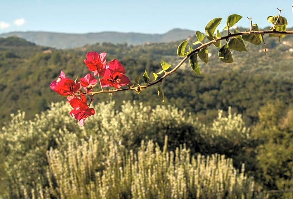 Casale storico nella campagna cilentana