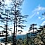 Fairmount Shimla Forest Greens