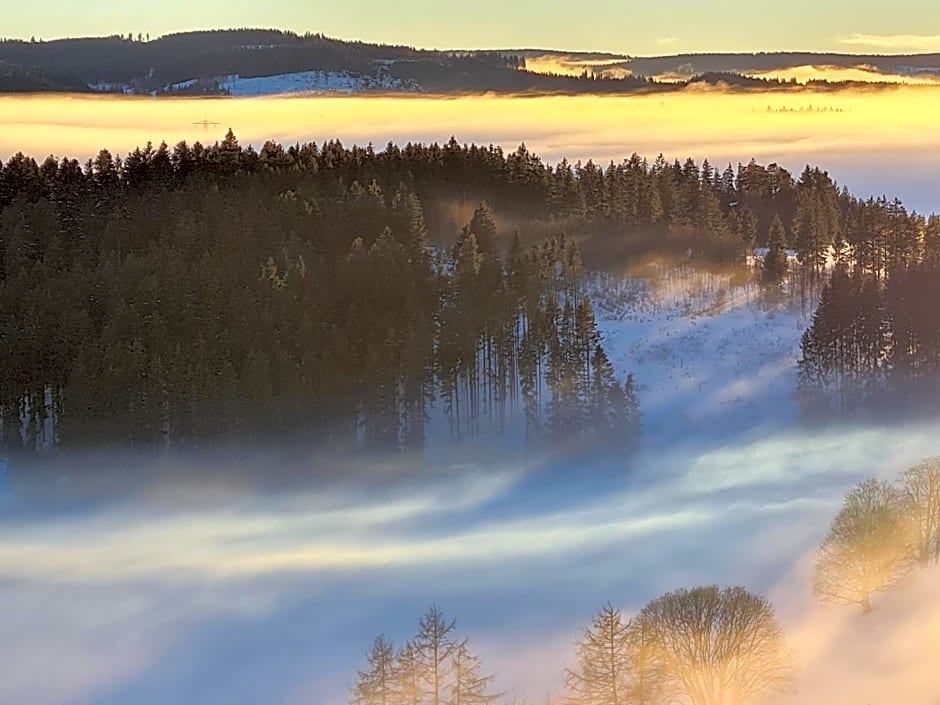 JUFA Hotel Schwarzwald