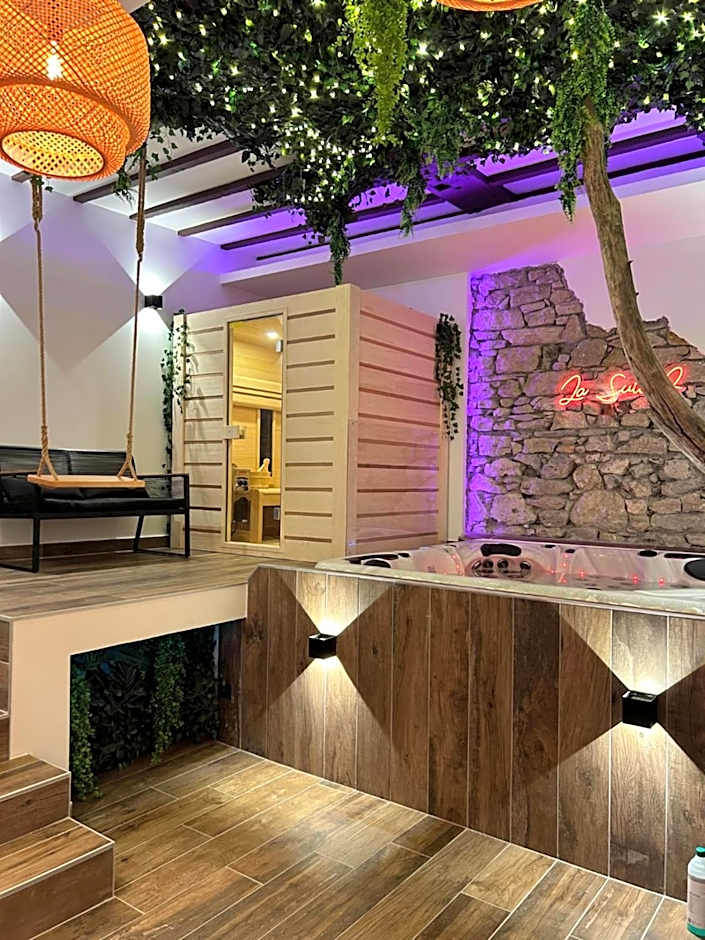 Grenoble LA SUITE 2 spa jaccuzzi et sauna privatif