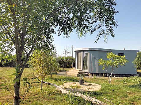 17tuzla