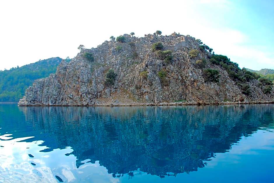 Sakin Vadi Winehouse