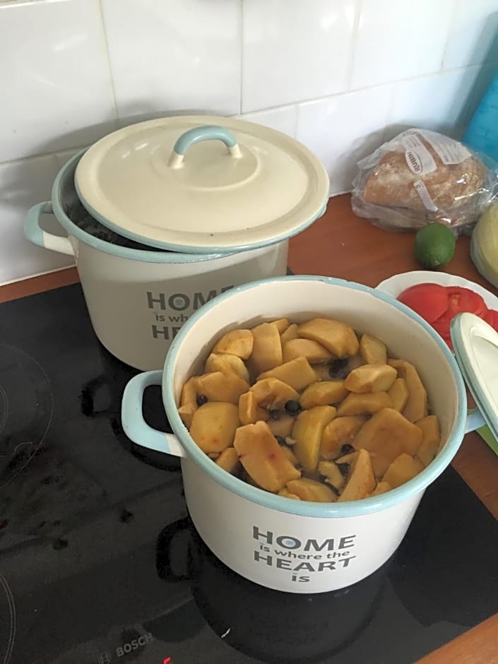 Zagroda Sledziowa Herring Farm