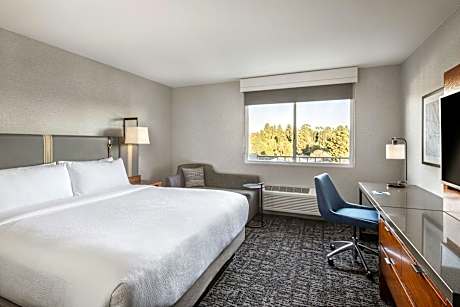 King Parlor Suite