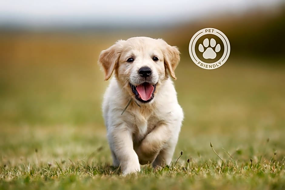 Vilar Rural Arnes by Serhs Hotels