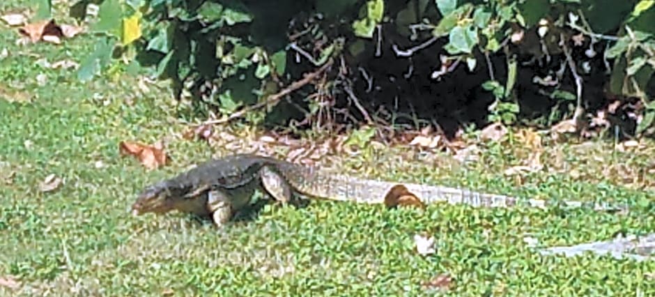 The Beachaven Chalets, Kota Belud