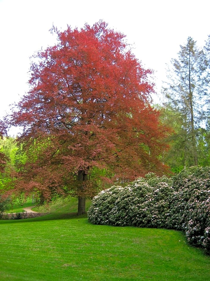 Augustenhof