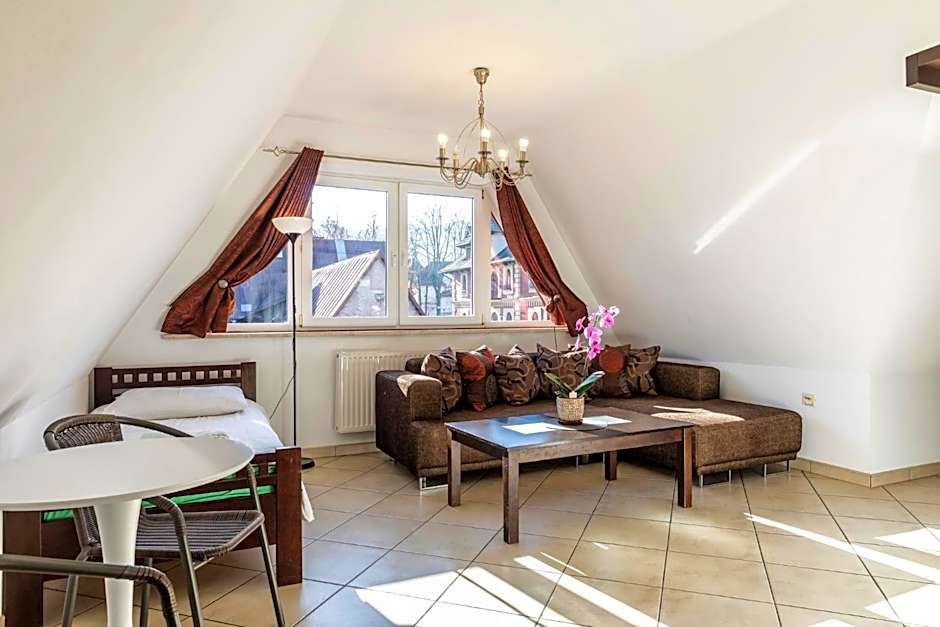 Brzoza w centrum Zakopanego