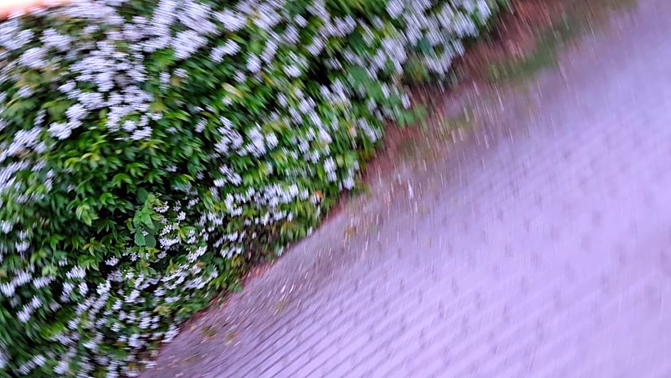 Bed & Breakfast Gli Oleandri