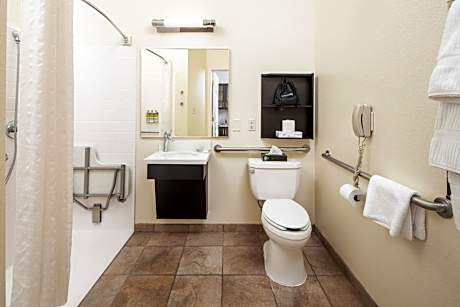 Queen Studio with Roll-In Shower - Disability Access