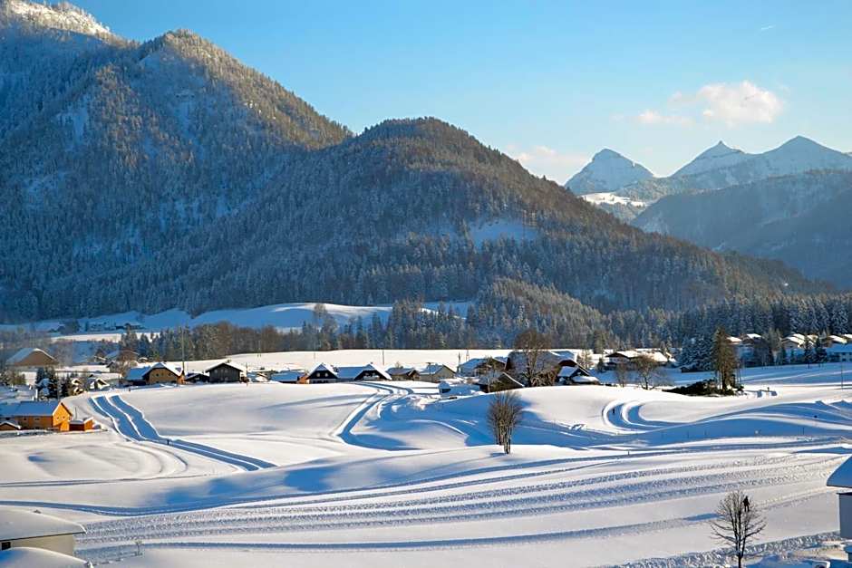Appartements Ferienwohnungen Alpenblick