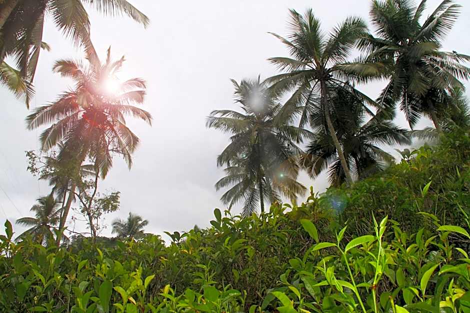 Athulya Villas, Kandy