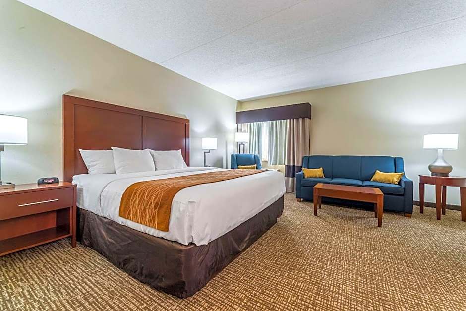 Comfort Inn Festus-St Louis South