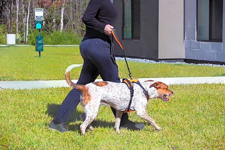 WaterWalk Extended Stay by Wyndham Jacksonville Deerwood Pk