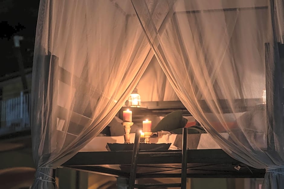 Tra gli Alberi e il Mare