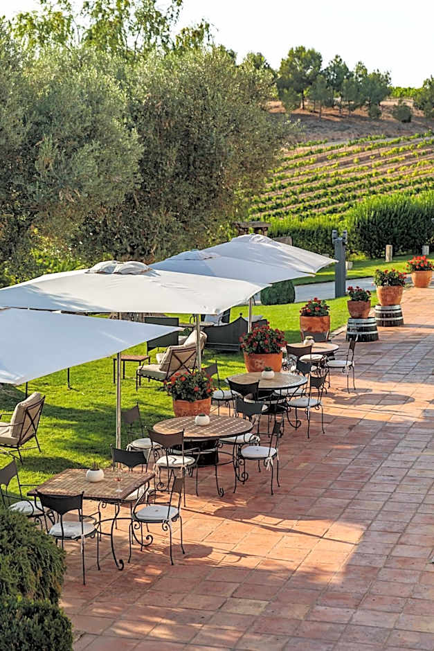 Hotel Pago De Cirsus