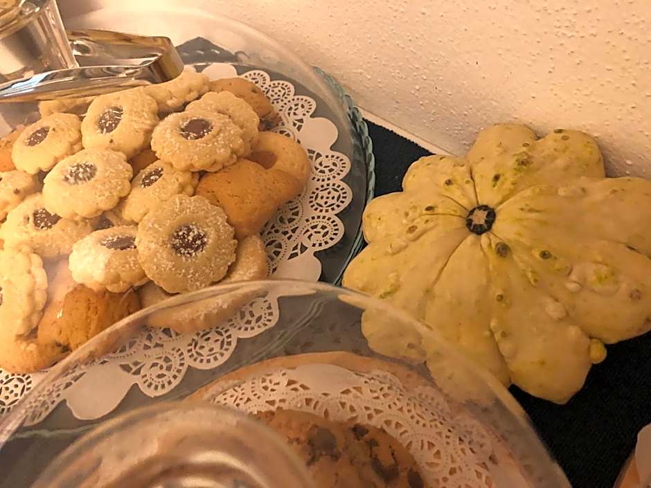 City Garden Guest House