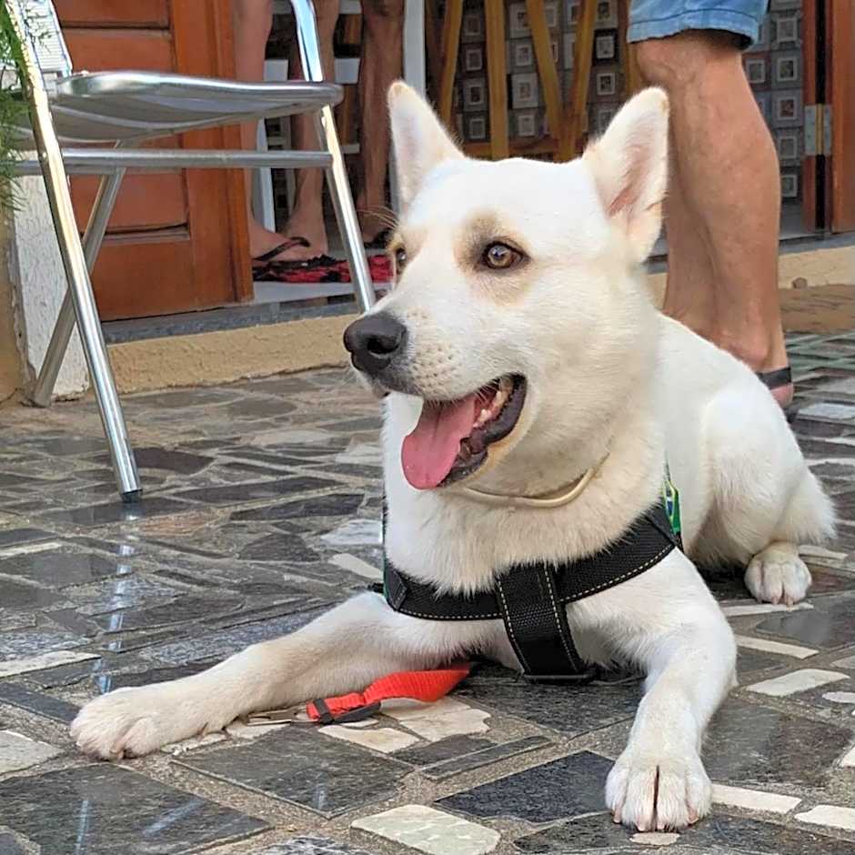 Happy Hostel e Pousada Paracuru