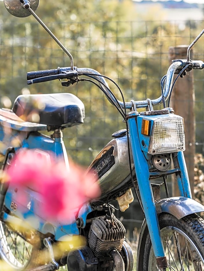 La Maison au bord du Lac