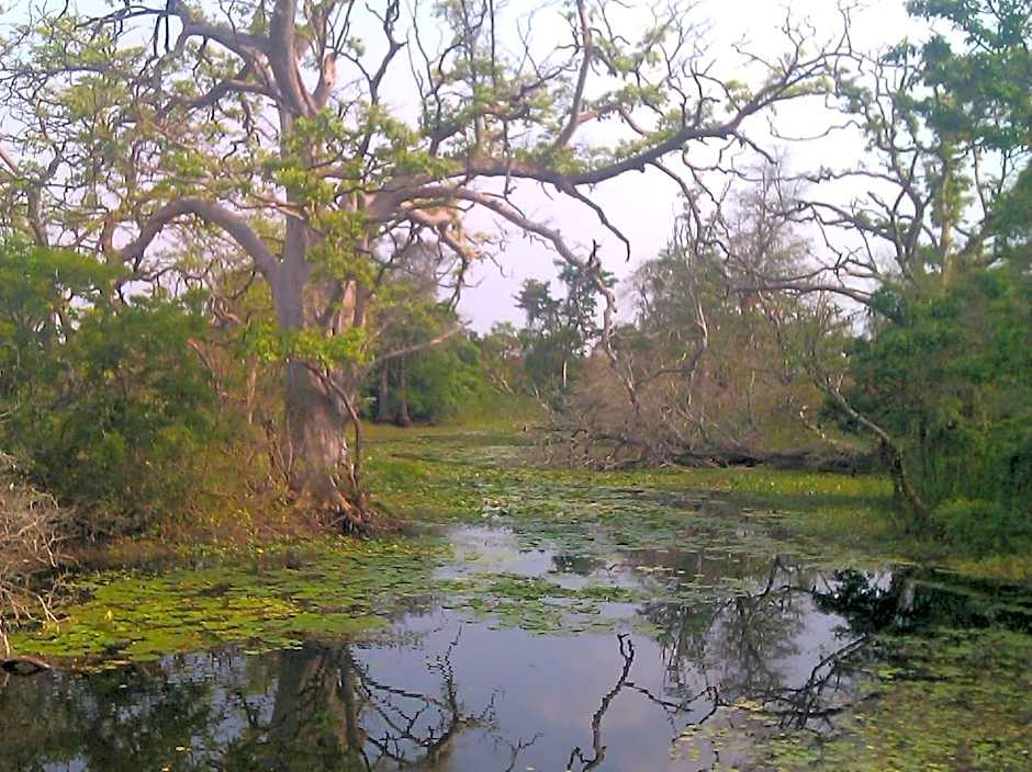 Eagle's Wings Guest House