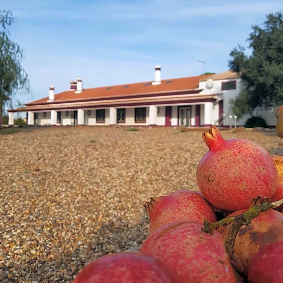 Monte da Floresta B&B