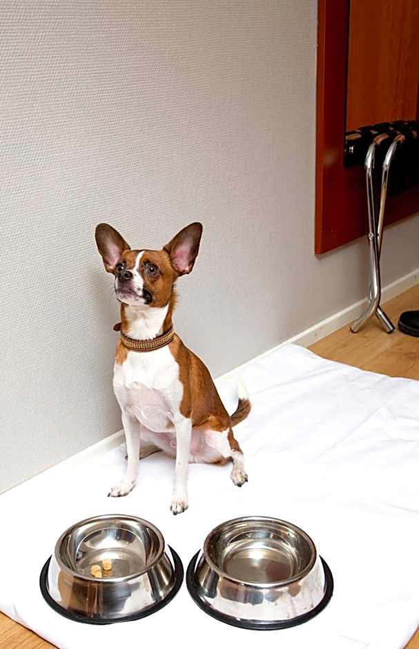 Best Western Hotell Ett