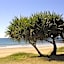 Koola Beach Apartments Bargara