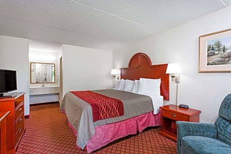 1 King Bed Non-Smoking