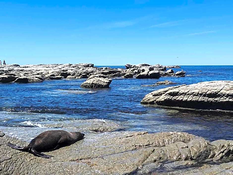 Kaikoura Waterfront Apartments
