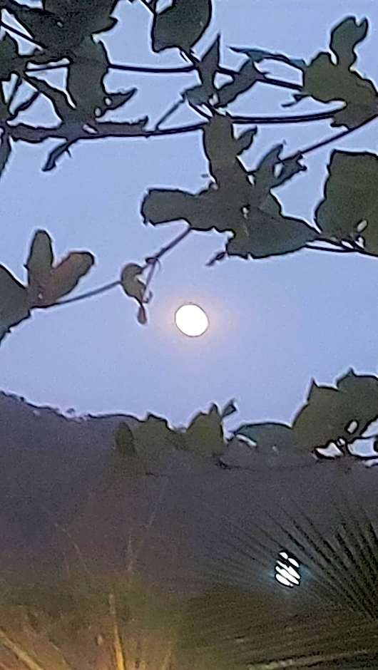 Shambhala Quarto Ideal para Casal Beira Mar entre Paraty e Ubatuba