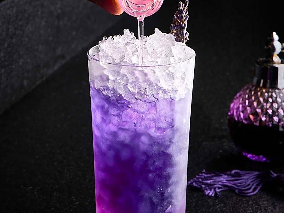 Pullman Paris Montparnasse