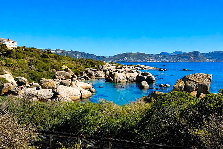 Bosky Dell on Boulders Beach