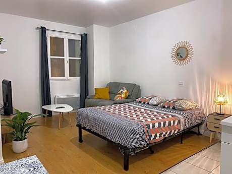 Studio chaleureux Centre Ville