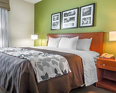 1 King Bed, Suite, Nonsmoking