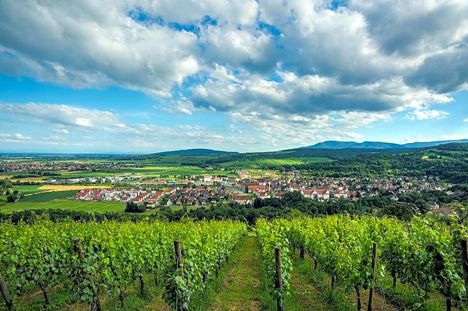 Comfort Aparthotel Mutzig Portes d'Alsace