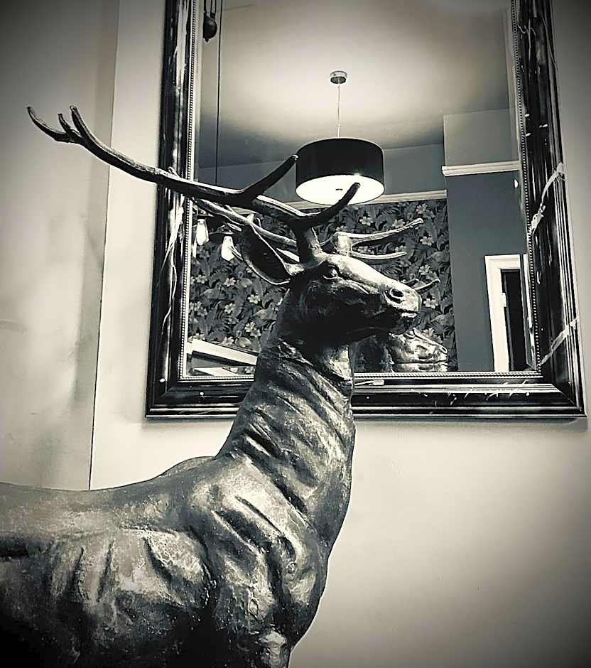 The Capon Tree Town House