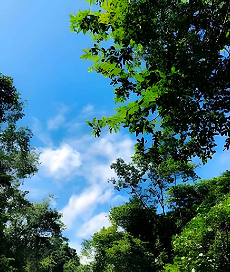 Casa Flutuante - Experiência única