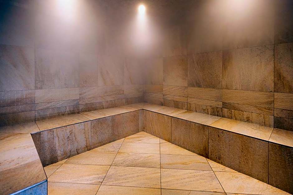 Brit Hotel, Spa & Restaurant - Colmar Est