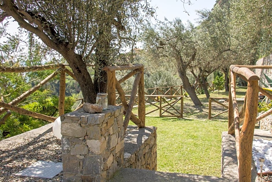 Villa Degli Ulivi B&B