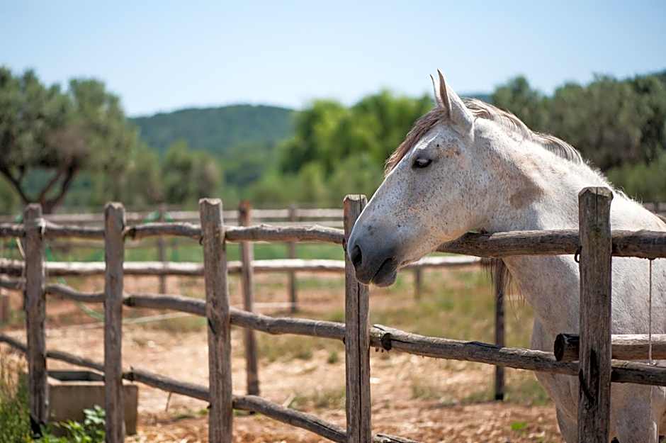 Tenuta Agricola dell'Uccellina