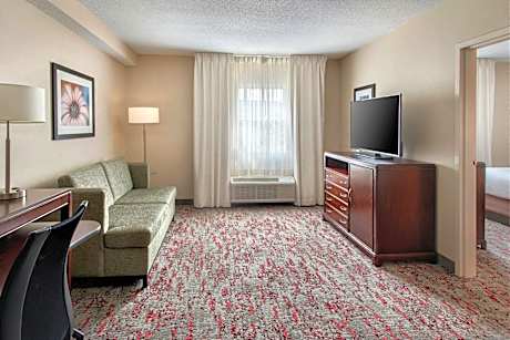 1 Bedroom Suite, 1 King, Sofa bed