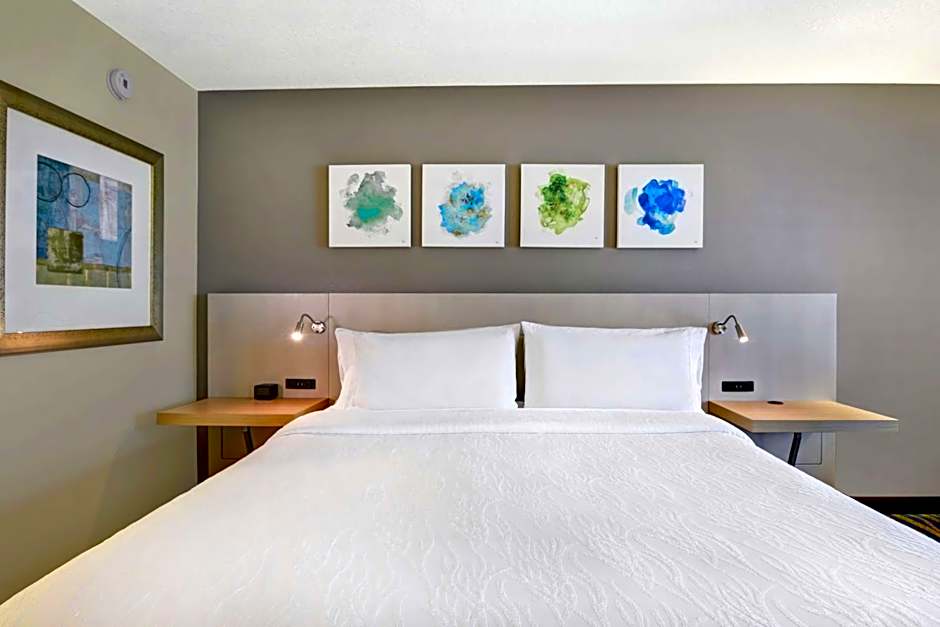 Hilton Garden Inn Orlando Lake Buena Vista