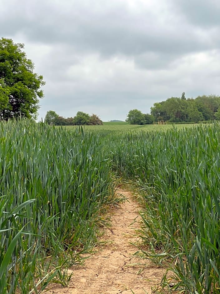 Prelude Guesthouse, Brigsley Grimsby