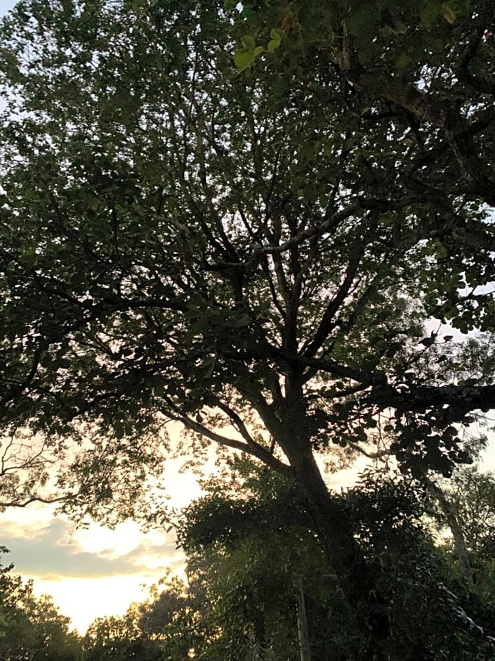 Pousada Cipó Container Chalés Privativos com lareira - Centro da cidade