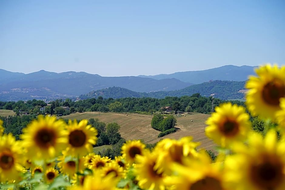 Agriturismo Il Sarale - Umbria