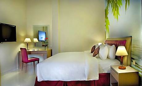 Standard Double or Twin Room (No Window)