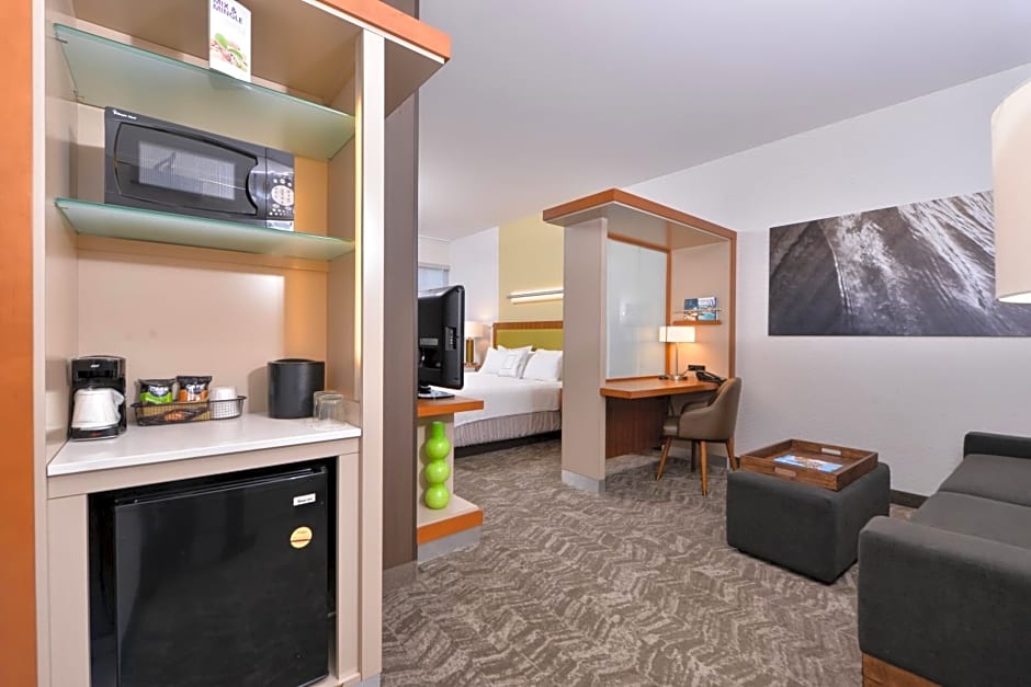 SpringHill Suites by Marriott Irvine John Wayne Airport/Orange County