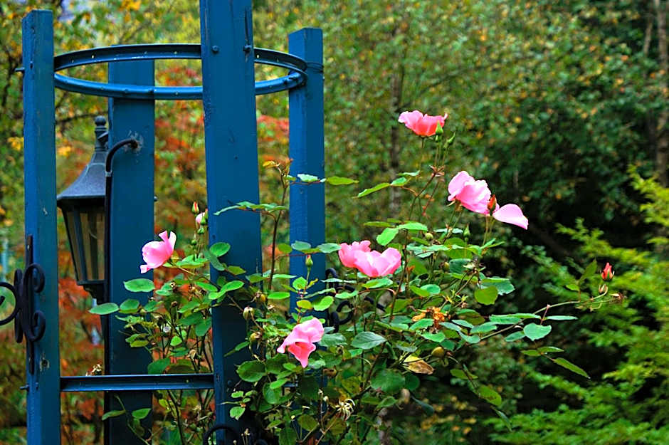 Pension Entre - deux - Mers