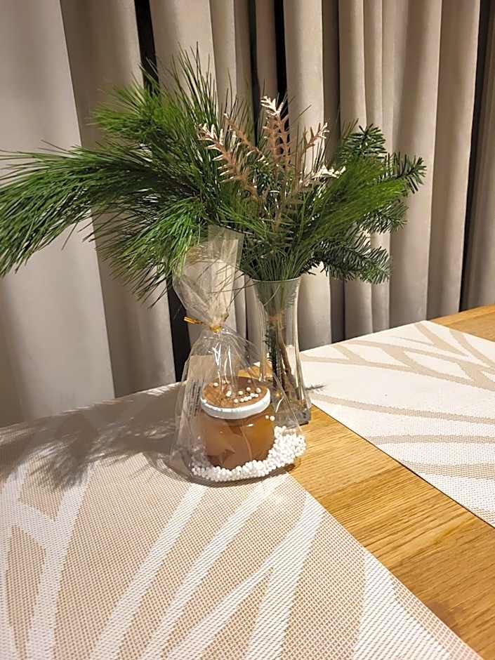 Jono kalnelis Apartments