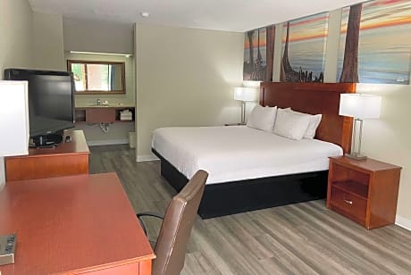 1 King Bed One-Bedroom Suite Non-Smoking